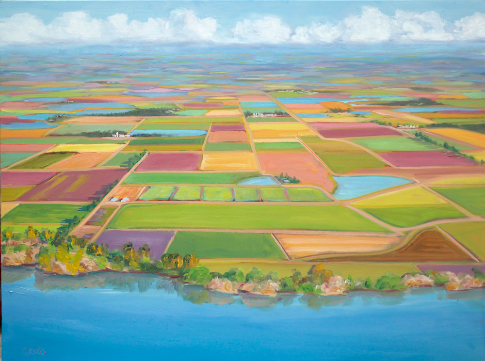 Farm Fields Forever