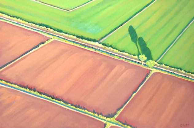 Checkered Fields