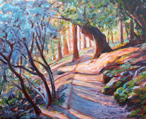Forest Path