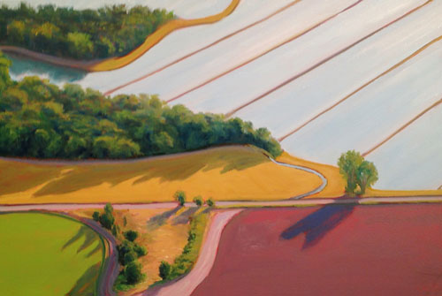 Rice Land