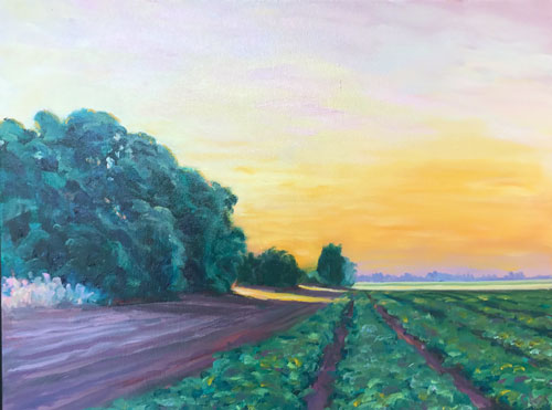 Row Crops