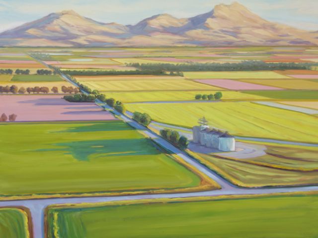 Sutter Buttes Rice