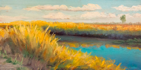 Wetlands canal